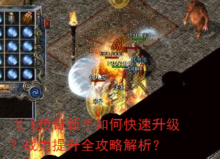 �ɷɴ���������ο���������ս������ȫ���Խ�����