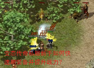 变态传奇私服新手如何快速刷装备并提升战力? 变态传奇私服新手如何快速刷装备并提升战力?