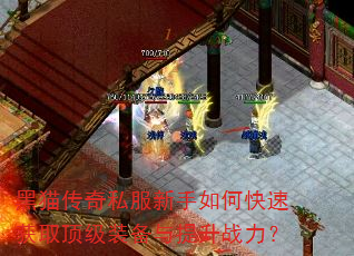 ��è����˽��������ο��ٻ�ȡ����װ��������ս����