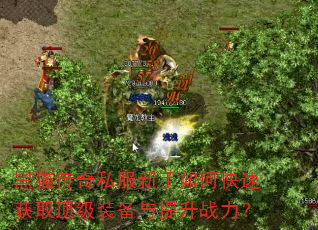 ��è����˽��������ο��ٻ�ȡ����װ��������ս����