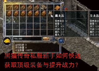 ��è����˽��������ο��ٻ�ȡ����װ��������ս����