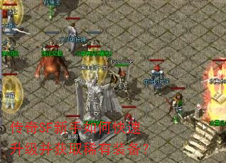 传奇SF新手如何快速升级并获取稀有装备? 传奇SF新手如何快速升级并获取稀有装备?