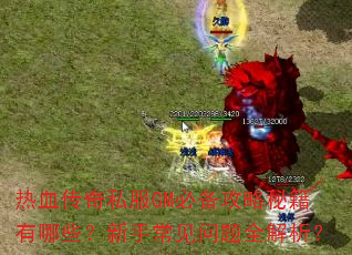 热血传奇私服GM必备攻略秘籍有哪些?新手常见问题全解析? 热血传奇私服GM必备攻略秘籍有哪些?新手常见问题全解析?