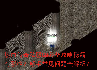 热血传奇私服GM必备攻略秘籍有哪些?新手常见问题全解析? 热血传奇私服GM必备攻略秘籍有哪些?新手常见问题全解析?