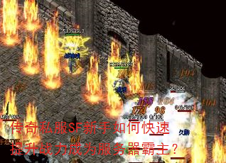 ����˽��SF������ο�������ս����Ϊ������������