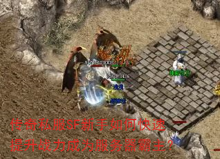 ����˽��SF������ο�������ս����Ϊ������������