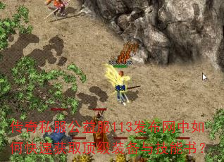 ����˽�������113����������ο��ٻ�ȡ����װ���뼼���飿