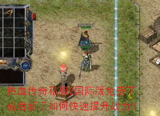 ��Ѫ����˽��2���ʰ�������غ�������ο�������ս����