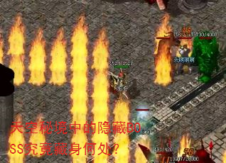 天空秘境中的隐藏BOSS究竟藏身何处? 天空秘境中的隐藏BOSS究竟藏身何处?