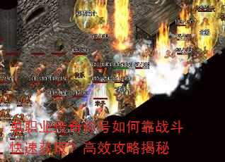 ��ְҵ����ƺ���ο�ս�����ٻ�ȡ����Ч���Խ���