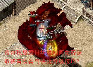 ����˽�����ջ��������ѻ�ȡϡ��װ��������������ɣ�