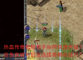 ��Ѫ����˽��������ο���������װ����ȡ��ְҵѡ������Щ���ɣ�