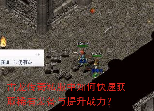 ��������˽������ο��ٻ�ȡϡ��װ��������ս����