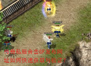 ����˽���ϻ�SF������ַ��ο��ٻ�ȡ����֤��