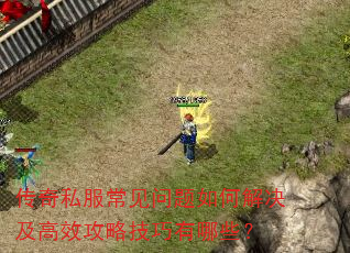 ����˽������������ν������Ч���Լ�������Щ��