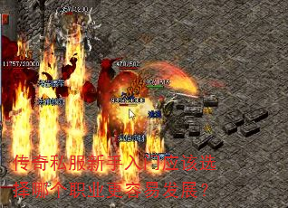 ����˽����������Ӧ��ѡ���ĸ�ְҵ�����׷�չ��