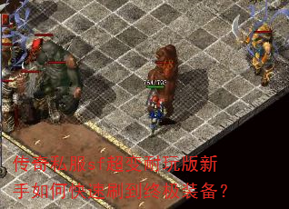 ����˽��sf���������������ο���ˢ���ռ�װ����