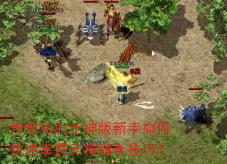 传奇私服元神版新手如何快速掌握元神融合技巧? 传奇私服元神版新手如何快速掌握元神融合技巧?
