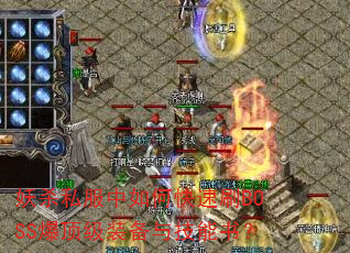 ��ɱ˽������ο���ˢBOSS������װ���뼼���飿