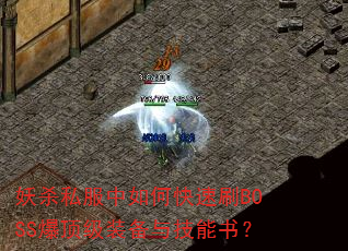 ��ɱ˽������ο���ˢBOSS������װ���뼼���飿