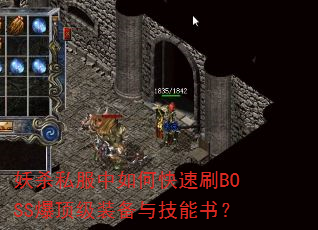 ��ɱ˽������ο���ˢBOSS������װ���뼼���飿