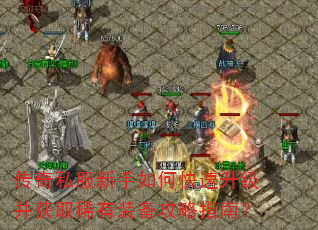 ����˽��������ο�����������ȡϡ��װ������ָ�ϣ�