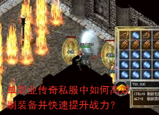 ��ְҵ����˽������θ�Чˢװ������������ս����