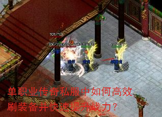 ��ְҵ����˽������θ�Чˢװ������������ս����