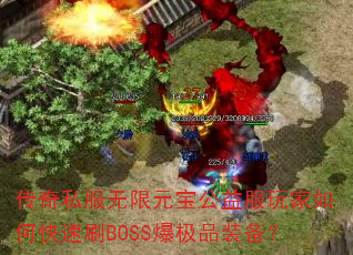 ����˽������Ԫ������������ο���ˢBOSS����Ʒװ����