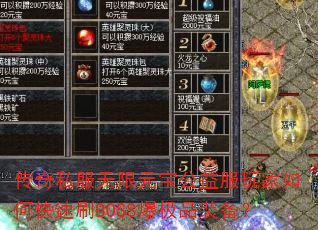 ����˽������Ԫ������������ο���ˢBOSS����Ʒװ����