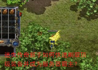 ��ʧ����������ο���ˢȡ����װ������Ϊ������������