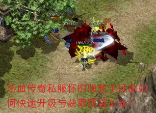 ��Ѫ����˽�����ɰ����������ο����������ȡ����װ����