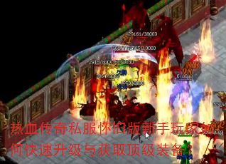 ��Ѫ����˽�����ɰ����������ο����������ȡ����װ����