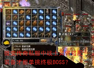 ΢�䴫��˽����սʿ��δ���װ�����ܵ����ռ�BOSS��
