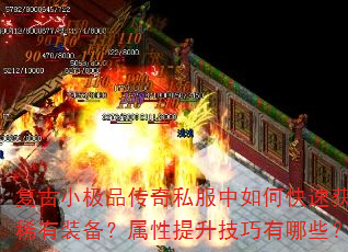 ����С��Ʒ����˽������ο��ٻ�ȡϡ��װ��������������������Щ��