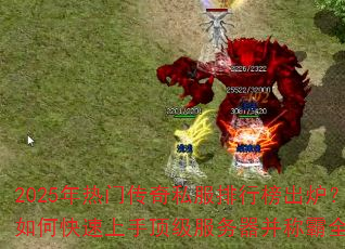 2025�����Ŵ���˽�����а��¯����ο������ֶ������������ư�ȫ��