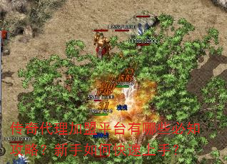 �����������ƽ̨����Щ��֪���ԣ�������ο������֣�