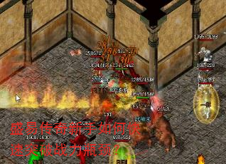 ʢ�״���������ο���ͻ��ս��ƿ����