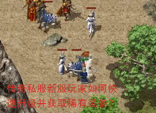 ����˽���·������ο�����������ȡϡ��װ����