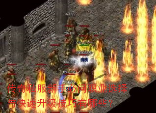 ����˽�����ֱ���ְҵѡ�������������������Щ��