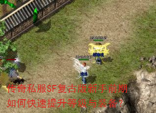 ����˽��SF���Ű�����ǰ����ο��������ȼ���װ����