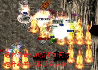 ��������FUW������ο�����������ȡ����װ����