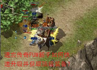 ��������FUW������ο�����������ȡ����װ����