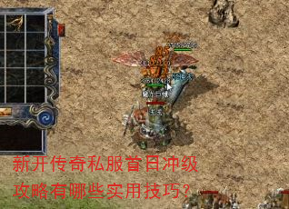 �¿�����˽�����ճ弶��������Щʵ�ü��ɣ�