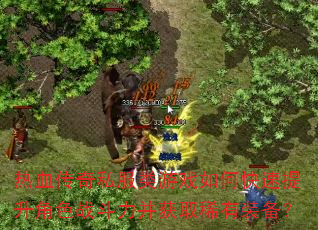 ��Ѫ����˽������Ϸ��ο���������ɫս��������ȡϡ��װ����