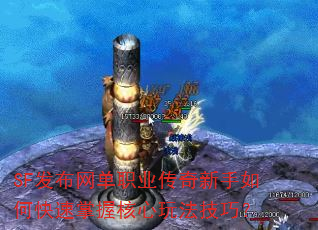 SF��������ְҵ����������ο������պ����淨���ɣ�