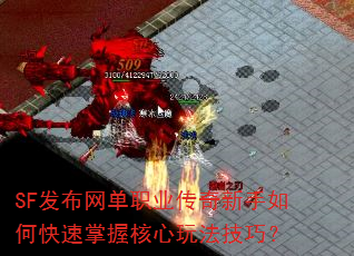 SF��������ְҵ����������ο������պ����淨���ɣ�