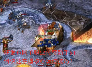 SF��������ְҵ����������ο������պ����淨���ɣ�