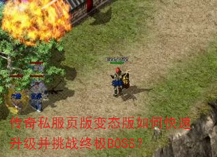 ����˽��ҳ���̬����ο�����������ս�ռ�BOSS��