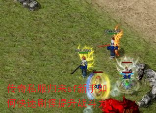 ����˽������sf������ο���ˢ������ս������